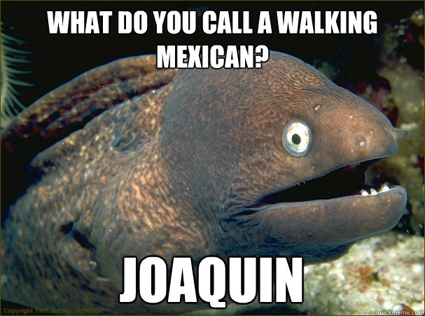 what do you call a walking mexican? Joaquin  Bad Joke Eel