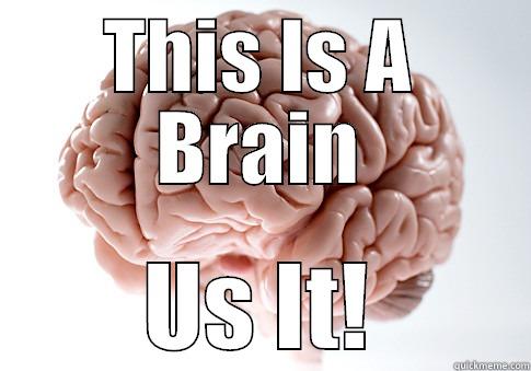 The Is A Brain! - THIS IS A BRAIN US IT! Scumbag Brain