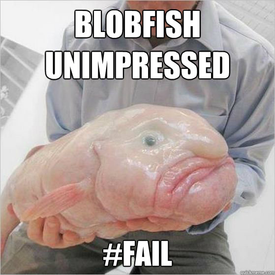 BLOBFISH UNIMPRESSED #FAIL  BLOBFISH