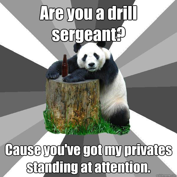 Are you a drill sergeant? Cause you've got my privates standing at attention.  Pickup-Line Panda