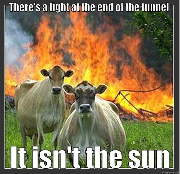THERE'S A LIGHT AT THE END OF THE TUNNEL    IT ISN'T THE SUN  Evil cows