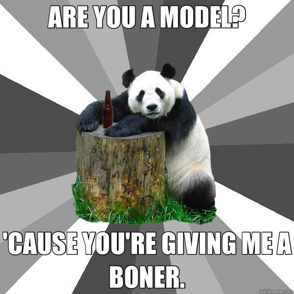 ARE YOU A MODEL? 'CAUSE YOU'RE GIVING ME A BONER.  Pickup-Line Panda