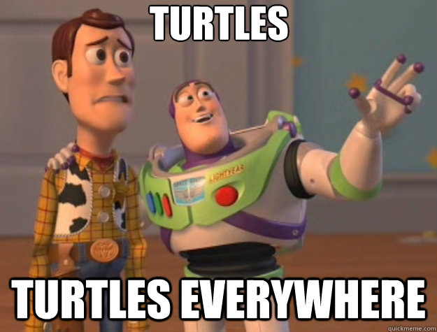Turtles  Turtles Everywhere - Turtles  Turtles Everywhere  Toy Story