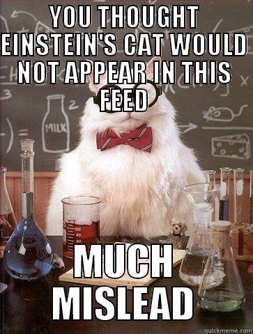 YOU THOUGHT EINSTEIN'S CAT WOULD NOT APPEAR IN THIS FEED MUCH MISLEAD Chemistry Cat