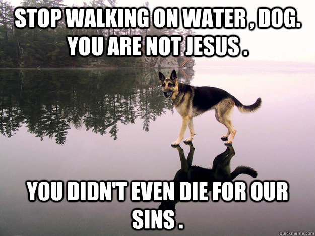 Stop walking on water , dog. You are not jesus . You didn't even die for our sins . - Stop walking on water , dog. You are not jesus . You didn't even die for our sins .  Jesus Dog