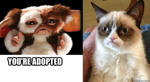  You're adopted -  You're adopted  Blunt Gizmo