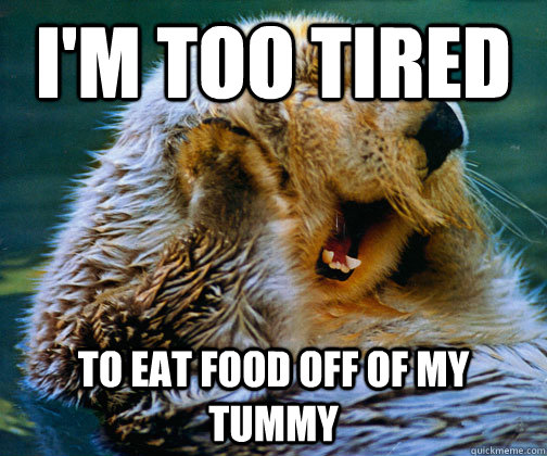 I'm too tired to eat food off of my tummy - I'm too tired to eat food off of my tummy  Sleepy Otter