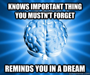 knows important thing you mustn't forget reminds you in a dream  Good Guy Brain
