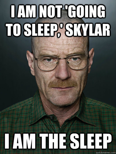 I am not 'going  to sleep,' skylar i am the sleep  - I am not 'going  to sleep,' skylar i am the sleep   Advice Walter White