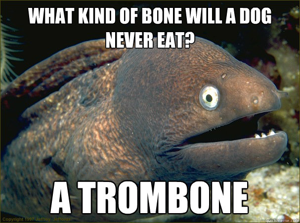 What kind of bone will a dog never eat? A Trombone   Bad Joke Eel