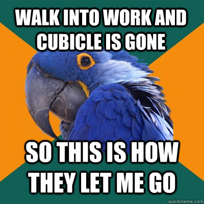 WALK INTO WORK AND CUBICLE IS GONE SO THIS IS HOW THEY LET ME GO  Paranoid Parrot