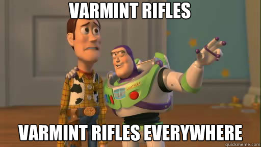 Varmint Rifles Varmint rifles everywhere  Everywhere