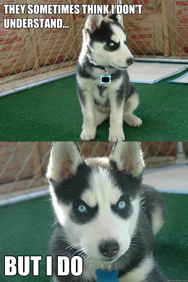 They sometimes think I don't understand... BUT I DO  Insanity puppy