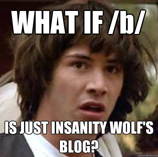 WHAT IF /b/ IS JUST INSANITY WOLF'S BLOG?  conspiracy keanu