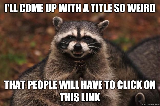 I'll come up with a title so weird that people will have to click on this link  Evil Plotting Raccoon