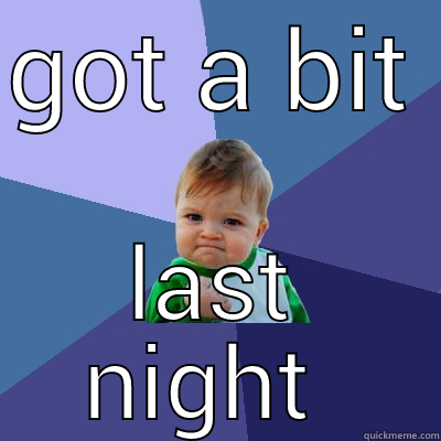GOT A BIT  LAST NIGHT  Success Kid