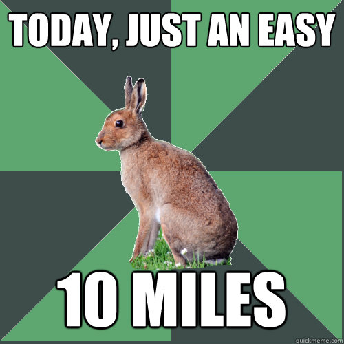 Today, just an easy 10 miles  Harrier Hare