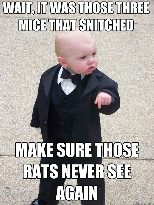 wait, it was those three mice that snitched make sure those rats never see again   Baby Godfather