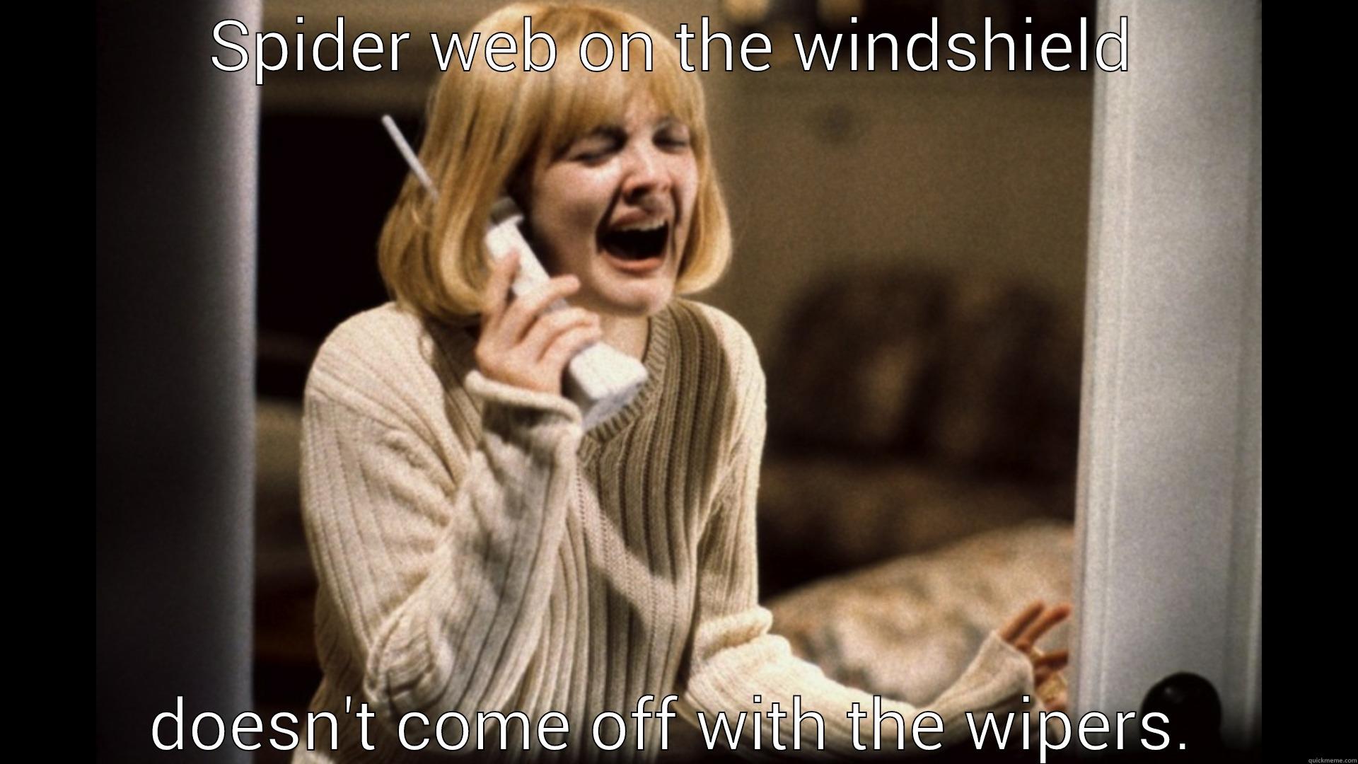 The spider is inside the car  - SPIDER WEB ON THE WINDSHIELD DOESN'T COME OFF WITH THE WIPERS. Misc