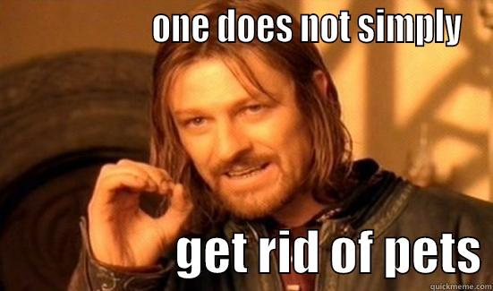                    ONE DOES NOT SIMPLY                    GET RID OF PETS Boromir