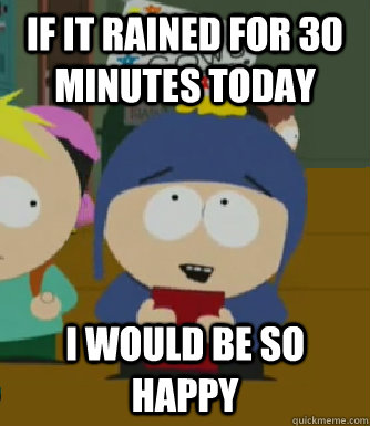 If it rained for 30 minutes today I would be so happy  Craig - I would be so happy