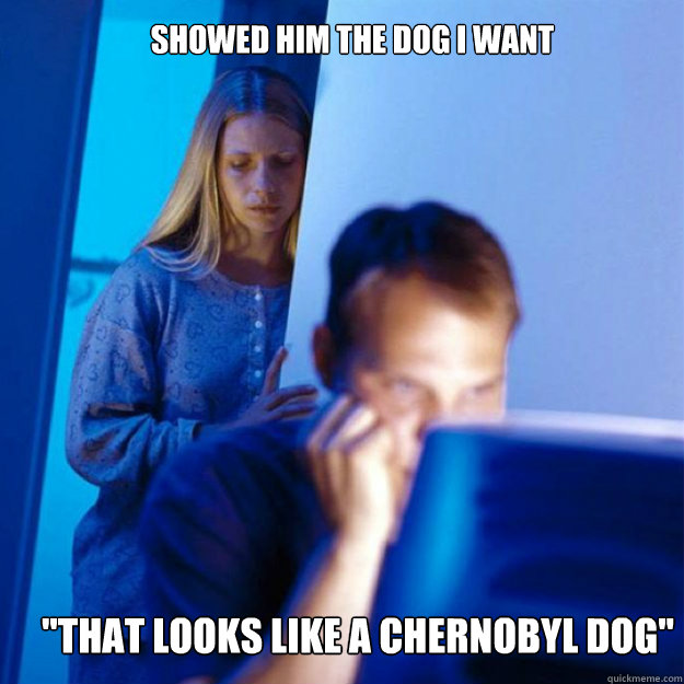 showed him the dog I want  