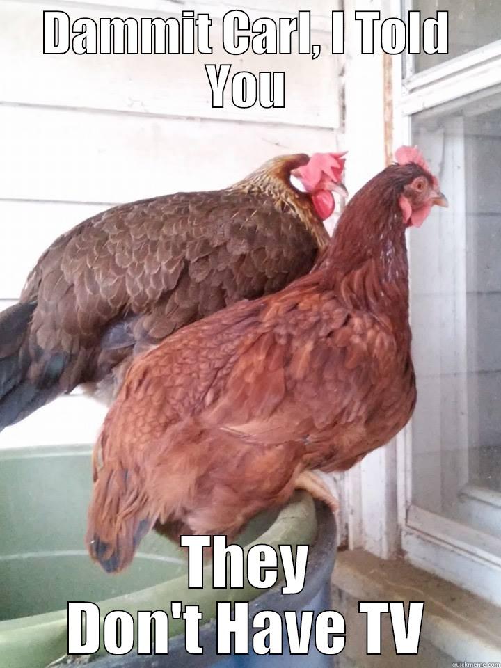 DAMMIT CARL, I TOLD YOU THEY DON'T HAVE TV Misc