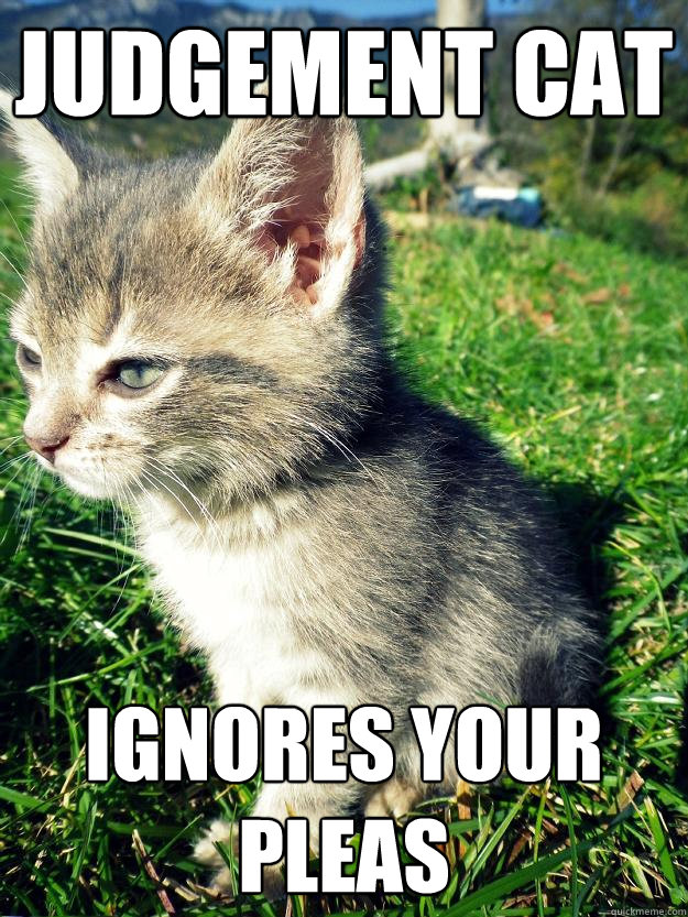 JUDGEMENT CAT ignores your pleas - JUDGEMENT CAT ignores your pleas  Misc