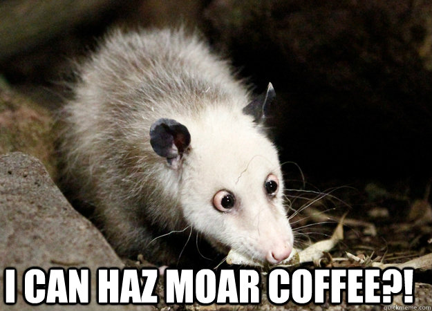 I can haz moar coffee?!   Coffee