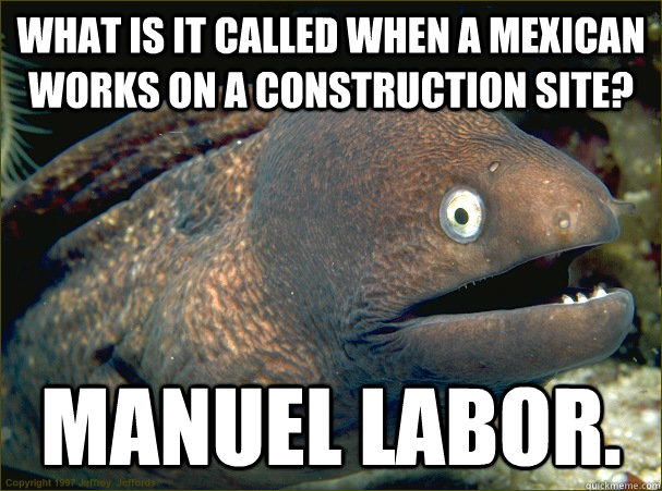 What is it called when a Mexican works on a construction site? Manuel Labor.  Bad Joke Eel