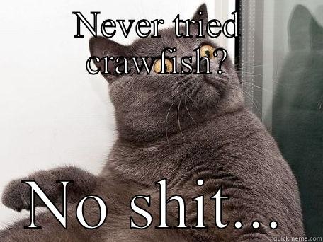 NEVER TRIED CRAWFISH? NO SHIT... conspiracy cat