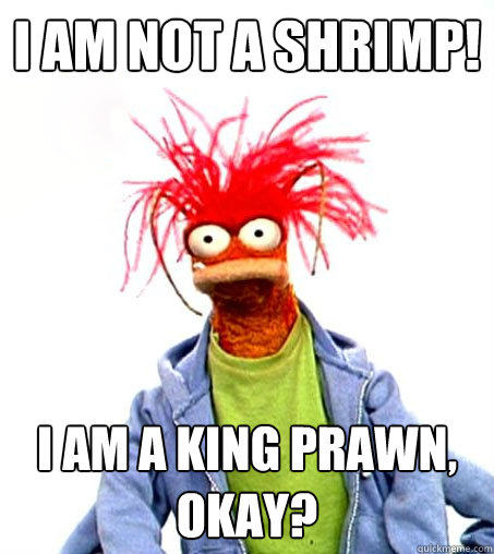 I am not a shrimp! I am a king prawn, okay?  