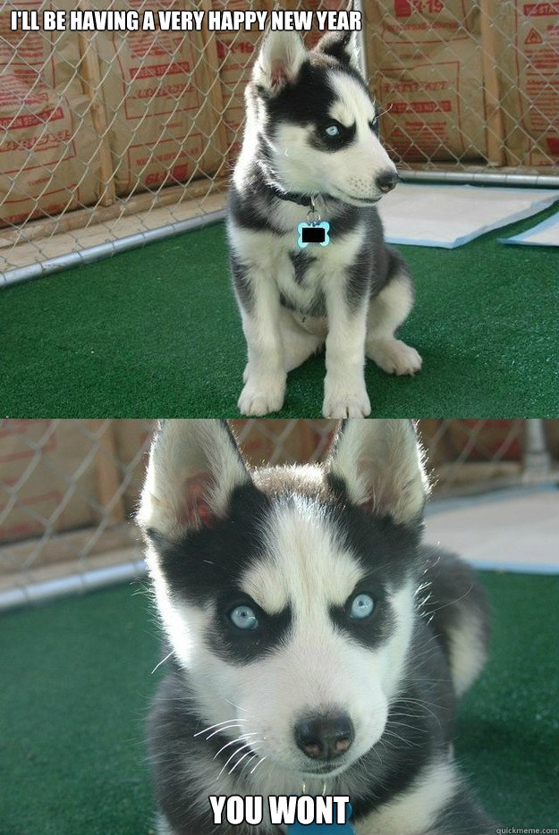 I'll be having a very happy new year YOU WONT  Insanity puppy