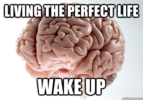 Living the perfect life Wake up  Scumbag Brain