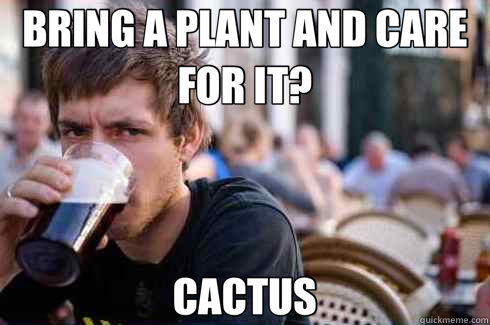 BRING A PLANT AND CARE FOR IT? CACTUS  Lazy College Senior