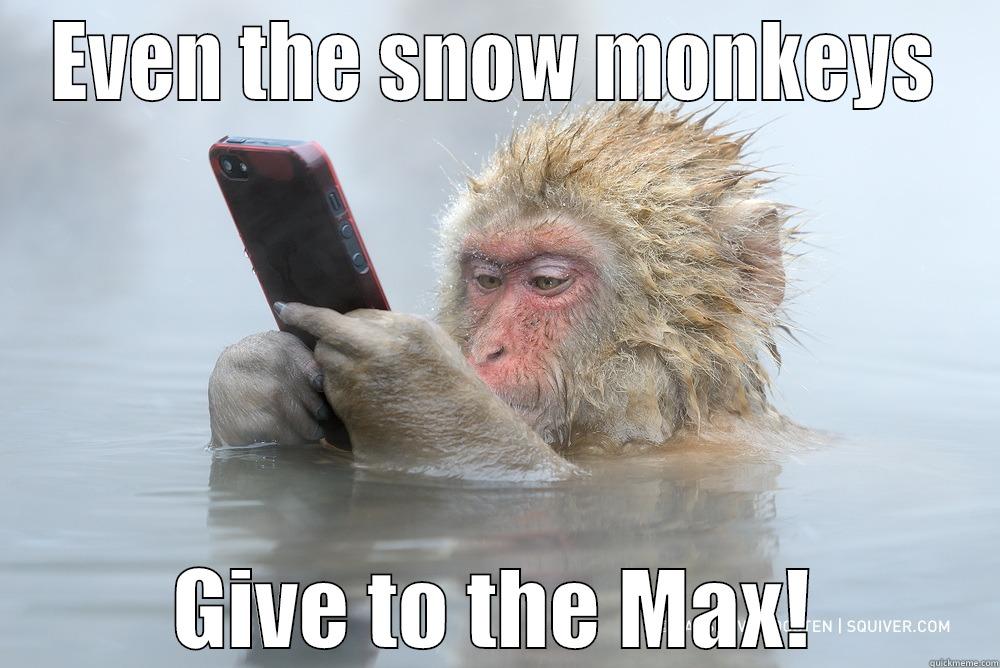 EVEN THE SNOW MONKEYS GIVE TO THE MAX! Misc