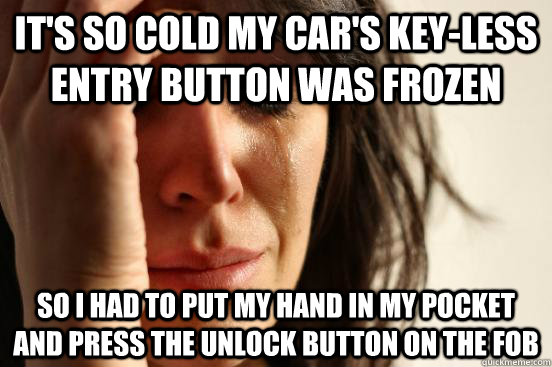 It's so cold my car's key-less entry button was frozen So I had to put my hand in my pocket and press the unlock button on the fob  First World Problems