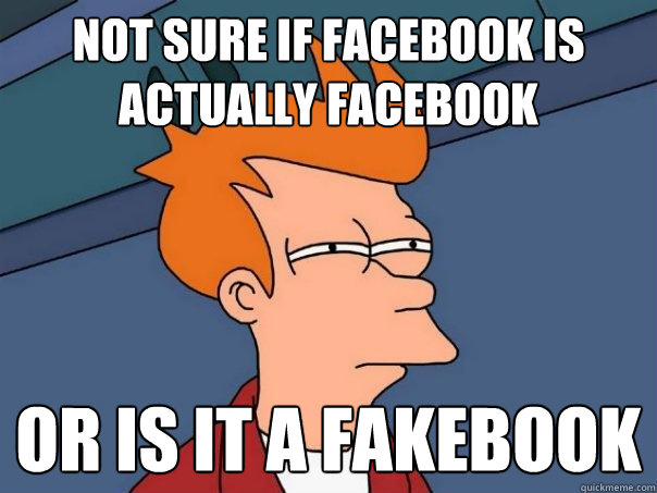 not sure if facebook is actually facebook or is it a fakebook - not sure if facebook is actually facebook or is it a fakebook  Futurama Fry