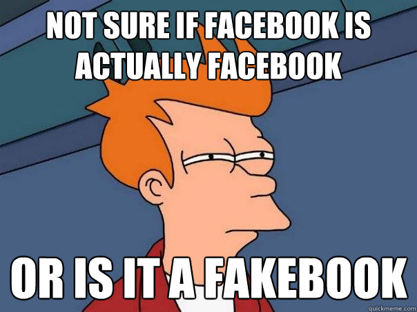 not sure if facebook is actually facebook or is it a fakebook  Futurama Fry