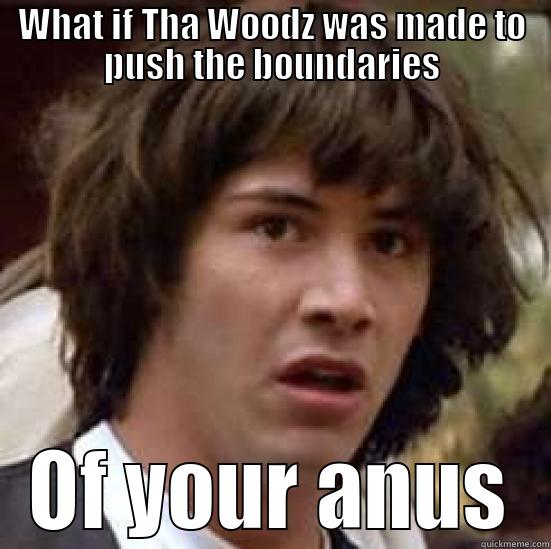 WHAT IF THA WOODZ WAS MADE TO PUSH THE BOUNDARIES OF YOUR ANUS conspiracy keanu