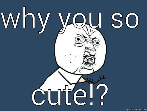 WHY YOU SO  CUTE!? Y U No