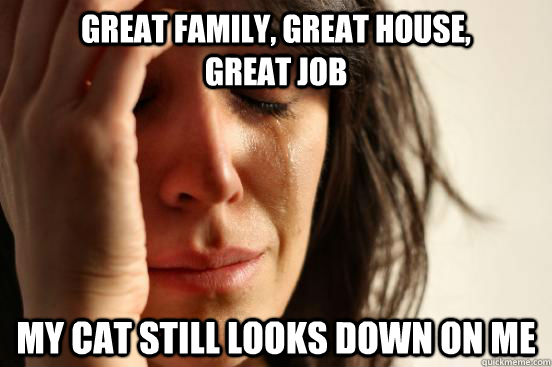 Great family, great house,                                  great job My cat still looks down on me  First World Problems