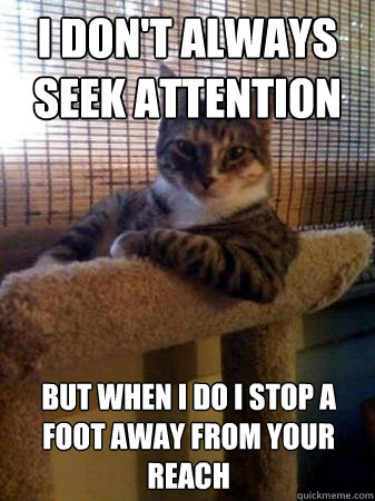 I don't always seek attention but when i do i stop a foot away from your reach  The Most Interesting Cat in the World