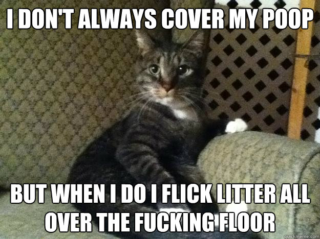 I don't always cover my poop  but when I do I flick litter all over the fucking floor  