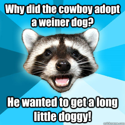 Why did the cowboy adopt a weiner dog? He wanted to get a long little doggy!  Lame Pun Coon