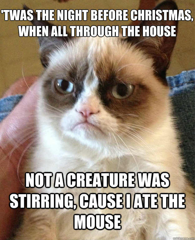 'Twas the night before Christmas, when all through the house
 Not a creature was stirring, CAUSE I ATE THE mouse  Grumpy Cat
