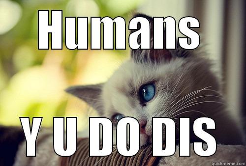 HUMANS Y U DO DIS First World Problems Cat