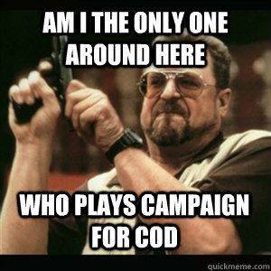 Am i the only one around here Who plays campaign for CoD  - Am i the only one around here Who plays campaign for CoD   Misc