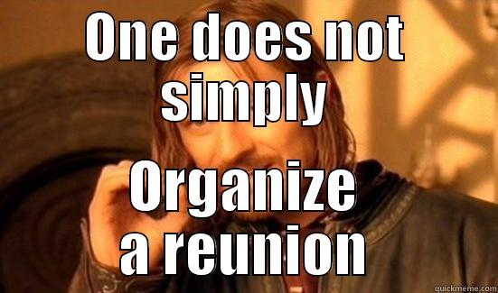 ONE DOES NOT SIMPLY ORGANIZE A REUNION Boromir