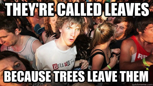 They're called leaves Because trees leave them  Sudden Clarity Clarence